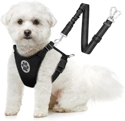 SlowTon Dog Seat Belt Harness for Car, Dog Car Harness Adjustable Mesh Breathable &amp; Dog Seatbelt Safety Tether with Elastic Bungee for Small Medium Large Pets(Black, Double Clip, XXXS)