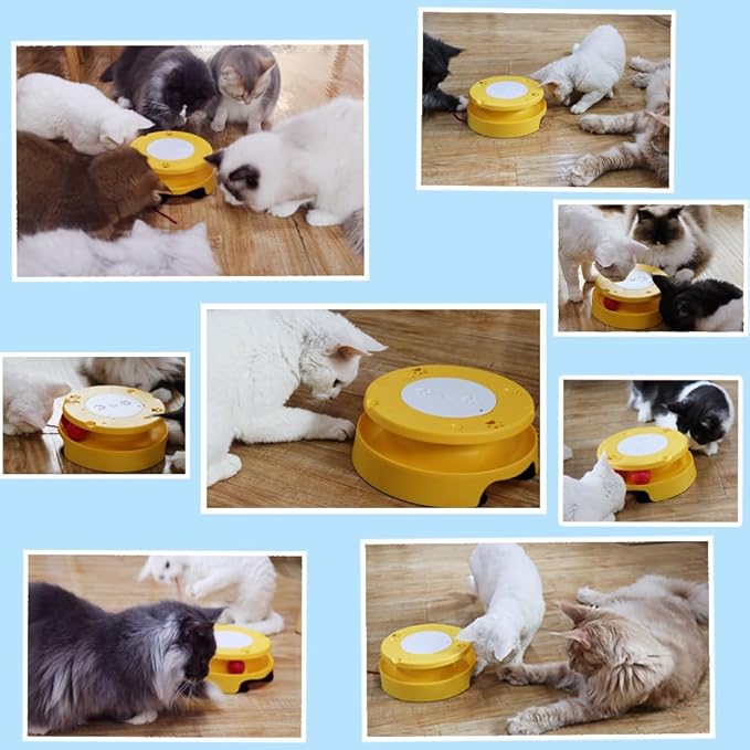 LASOCUHOO 2-in-1 Automatic Cat Toy with Track &amp; Jumping String – Interactive Electric Toy with Rolling Balls &amp; Bell, Battery-Powered (3 AA), Auto Shut-Off for Multi-Cat Play