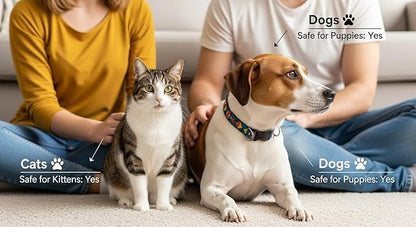 Pure Plaque Off Vet-Approved Dental Powder for Dogs &amp; Cats | 100% Natural Teeth Cleaner with Seaweed | Plaque &amp; Tartar Remover | Freshens Breath | No Brushing Needed (50g)