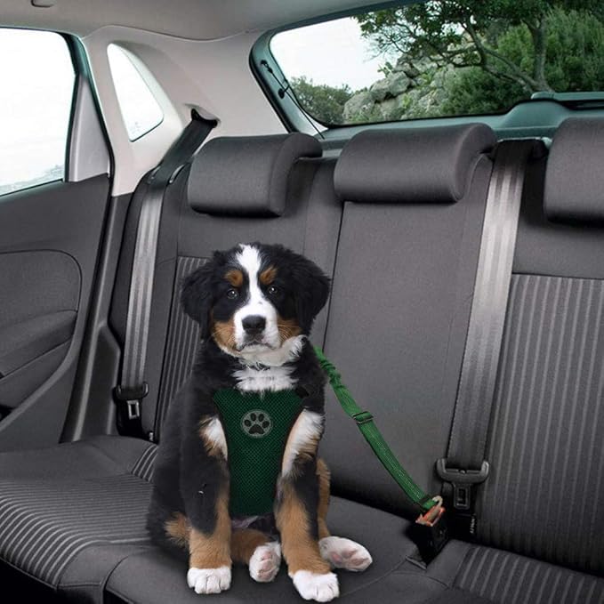 Lukovee Dog Seat Belt for Car, Adjustable Dog Car Harness for Large Medium Small Dogs, Soft Padded &amp; Breathable Mesh Dog Seatbelt with Car Vehicle Connector Strap (Green,Large)