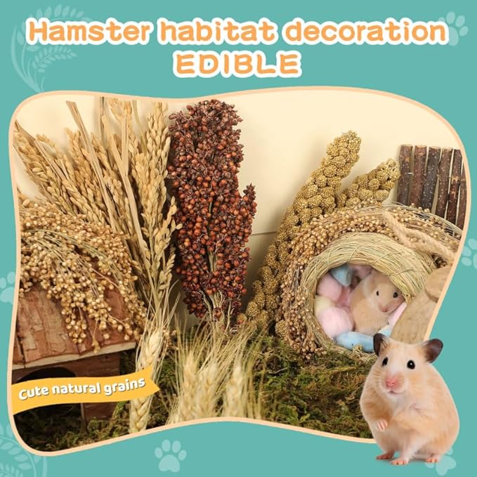 Hamster Spray Set - Natural Snack Grains &amp; Chew Toys for Cage Decoration Accessories, Soft Bedding for Dwarf Syrian Hamsters, Gerbils, Mice &amp; Small Pets