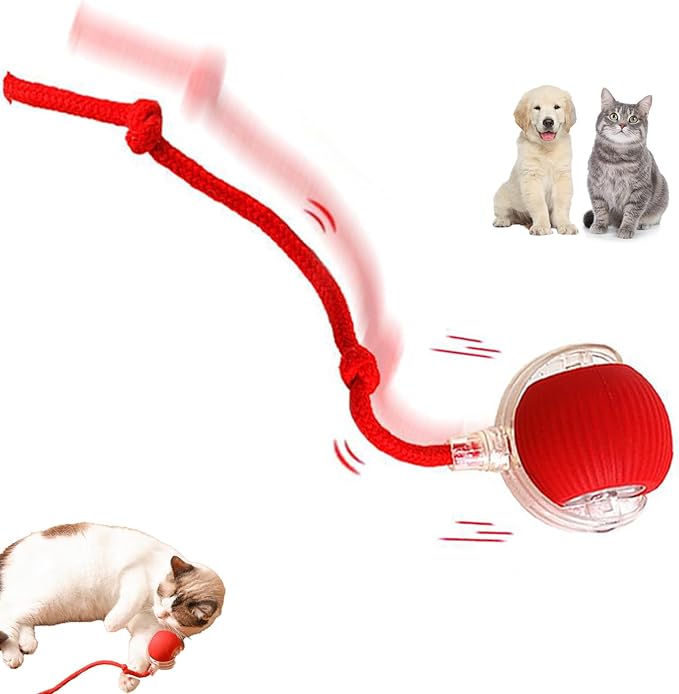 Interactive Cat Toy Ball for Indoor Cats - 3-Speed Smart Rolling Ball with Flashing Lights, USB Rechargeable Automatic Motion Kitten Toys for Bored Adult Cats &amp; Playful Kittens
