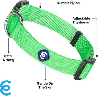 Blueberry Pet Essentials Small Dog Collar in Neon Green | Adjustable &amp; Eco-Friendly Durable Nylon Strap | Classic Collar for Small Dogs, Boy &amp; Girl Pets