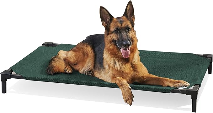 Coolaroo Pro Elevated Dog Bed - Low-Profile Access, Moisture-Resistant Cover, Breathable Fabric &amp; Tool-Free Setup, Brunswick Green, Standard