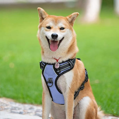 PoyPet No Pull Dog Harness, Reflective Comfortable Vest Harness with Front &amp; Back 2 Leash Attachments and Easy Control Handle Adjustable Soft Padded Pet Vest for Small to Large Dogs (Light Blue,M)