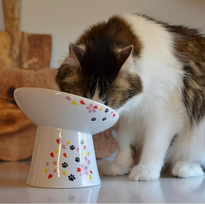 Necoichi Extra Wide Raised Cat Food Bowl, Elevated Cat Bowls to Prevent Neck &amp; Whisker Fatigue, Dishwasher and Microwave Safe, No.1 Seller in Japan! (Sakura Limited Edition, Extra Wide Tilted)