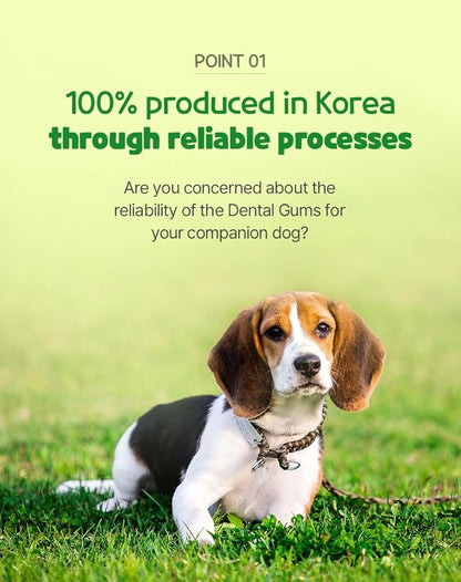 SSOMDALPET Chap Chap Dental Gum for Dogs, 30 Chews | Soft &amp; Chewy, Dental Care Treat, Large Pack, Joint &amp; Bone, Eye &amp; Skin, Gut &amp; Probiotics Options (30 Count, Joint &amp; Bone (Green/Apple))