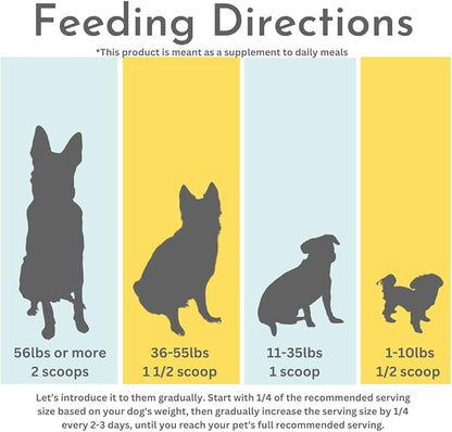 Probiotics, Prebiotics, &amp; Digestive Enzymes for Dogs| Limited Ingredients| Digestive Support |Allergy Relief |Immune Support| Reduces Inflammation| Diarrhea &amp; Gas Relief (150g), White