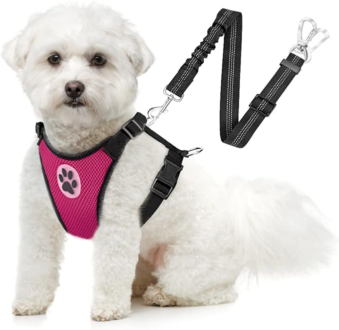 SlowTon Dog Seat Belt Harness for Car, Dog Car Harness Adjustable Mesh Breathable &amp; Dog Seatbelt Safety Tether with Elastic Bungee for Small Medium Large Pets(Fuchsia, Double Clip, L)