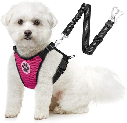 SlowTon Dog Seat Belt Harness for Car, Dog Car Harness Adjustable Mesh Breathable &amp; Dog Seatbelt Safety Tether with Elastic Bungee for Small Medium Large Pets(Fuchsia, Double Clip, S)