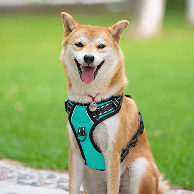 PoyPet No Pull Dog Harness, Reflective Comfortable Vest Harness with Front &amp; Back 2 Leash Attachments and Easy Control Handle Adjustable Soft Padded Pet Vest for Small to Large Dogs (Mint Blue,XS)