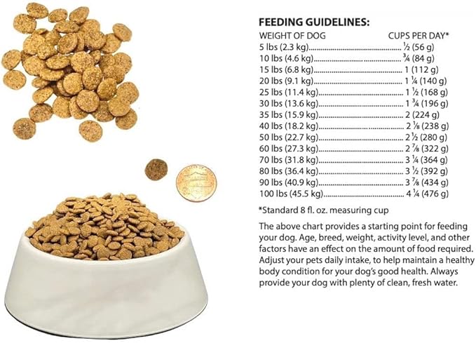 Bench &amp; Field Holistic Natural Adult Dry Dog Food, Chicken Meal and Brown Rice Recipe 12 lb Bag (Pack of 2)