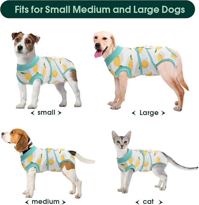 Kuoser Recovery Suit for Dogs Cats After Surgery, Professional Pet Recovery Shirt Dog Abdominal Wounds Bandages, Substitute E-Collar &amp; Cone,Prevent Licking Dog Onesies Pet Surgery Recovery Suit