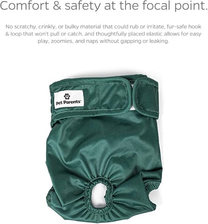 Pet Parents® Washable Dog Diapers (3pack) + Extendrs® of Durable Doggie Diapers, Premium Dog Diapers Female (X-Small, Samba)