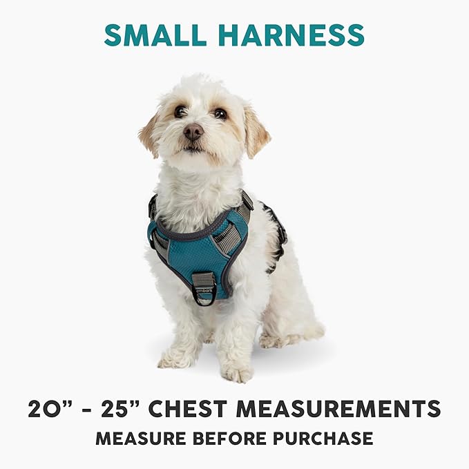 Embark Adventure Dog Harness, Easy On and Off with Front and Back Leash Attachment Points &amp; Control Handle - No Pull Training, Size Adjustable and No Choke (Small - Teal Blue)