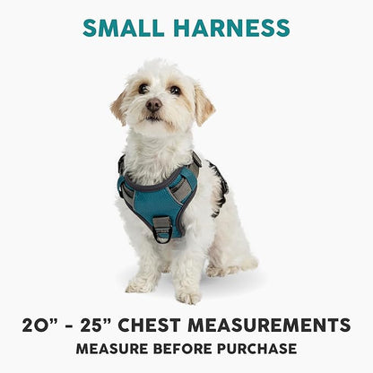 Embark Adventure Dog Harness, Easy On and Off with Front and Back Leash Attachment Points &amp; Control Handle - No Pull Training, Size Adjustable and No Choke (Small - Teal Blue)