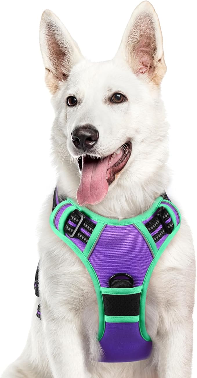 Eagloo Dog Harness for Large Dogs, No Pull Service Vest with Reflective Strips and Control Handle, Adjustable and Comfortable for Walking, No Choke Pet Harness with 2 Metal Rings, Purple &amp; Green, XL