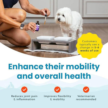 Liquid Glucosamine for Small Dogs, 260mg Glucosamine Liquid for Dogs Joint Supplement for Mobility &amp; Comfort, Easy-to-Use Liquid MSM &amp; Chondroitin, 2 oz