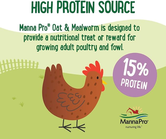 Manna Pro Farmhouse Favorites Oat &amp; Mealworm Mix Poultry Treat – Natural Protein Source – Encouraging Poultry Treat – Mix of Oats, Peanuts, Raisins, Mealworms, Sunflower Kernels – 2lbs