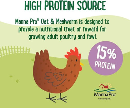 Manna Pro Farmhouse Favorites Oat &amp; Mealworm Mix Poultry Treat – Natural Protein Source – Encouraging Poultry Treat – Mix of Oats, Peanuts, Raisins, Mealworms, Sunflower Kernels – 2lbs