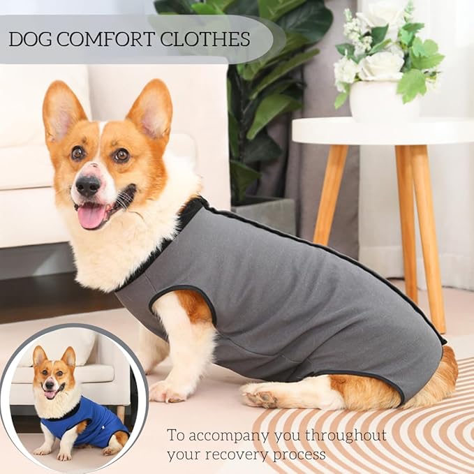 Dog Surgery Recovery Suit,Abdominal Surgical Suit for Dogs,Recovery Suit for Dogs,Prevent Licking Surgical Wound Dog Cone Alternative Blue L
