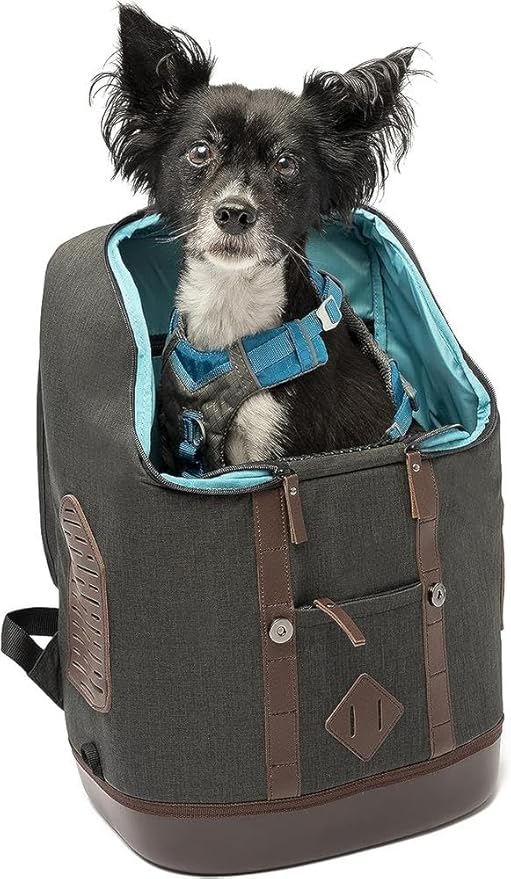 Kurgo Dog Carrier Backpack for Small Pets - Dogs &amp; Cats | Cat | Hiking or Travel | Waterproof Bottom | K9 Ruck Sack (Heather Black)