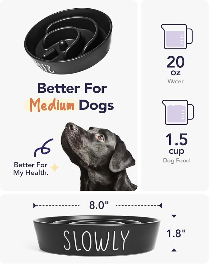 Slow Feeder Dog Bowl - 1.5 Cups Ceramic Puzzle Feeder for Small &amp; Medium Breeds, Maze Design Pet Dish for Puppy &amp; Fast Eaters, Black Non-Slip Bowl to Control Eating Speed