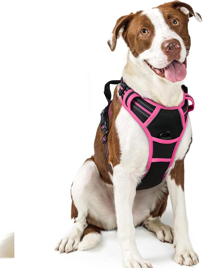 rabbitgoo Dog Harness No Pull with 2 Leash Clips, Adjustable Soft Padded, Reflective Oxford No Choke Pet Vest with Easy Control Handle for Large Dogs, Black &amp; Hot Pink, L