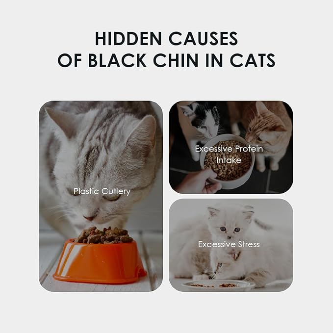 Mooncat Cat Acne Chin Treatment Oil &amp; Cleaner - Feline Chin Acne Care for Blackheads, Kitty Acne, Cat Chin Acne Cleaner, Fast Acting, No-Rinse Ease (Wipe Off), Safe Lickable - 5 fl oz (150ml)