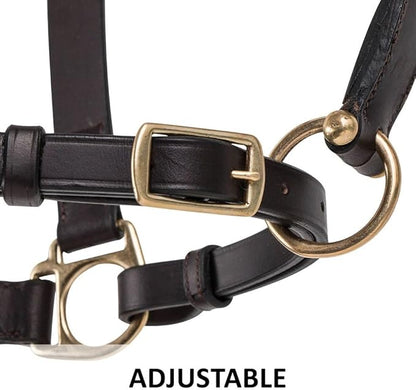 Dura-Tech Premier Lancaster Leather Halter for Horses | Simple Economy Leather Halter with Adjustable Fit &amp; Solid Brass Hardware