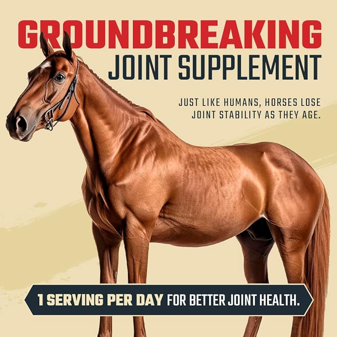 8 in 1 Maximum Strength Equine Joint Supplement - Joint Supplement for Horses - Glucosamine, MSM, Chondroitin, Turmeric, Hyaluronic Acid, Manganese, &amp; Boswelia - 964g (30 Servings)