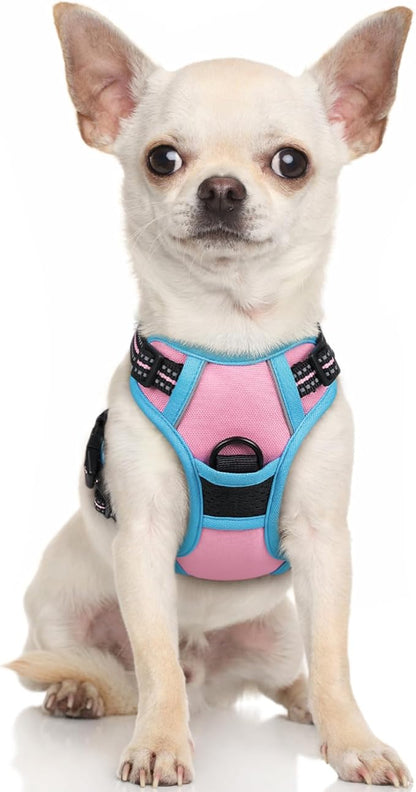 rabbitgoo Dog Harness No Pull with 2 Leash Clips, Adjustable Soft Padded, Reflective Oxford No Choke Pet Vest with Easy Control Handle for Puppy, Pink &amp; Blue, XS