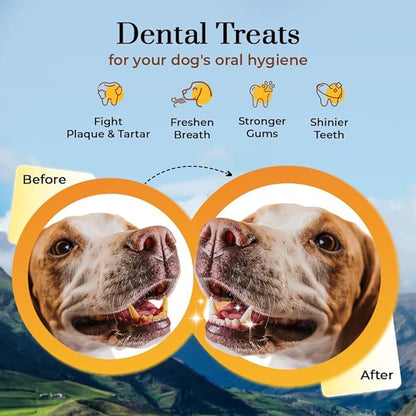 Dogsee Original Himalayan Yak Cheese Dog Chews (Small - 3 Bars) | Fights Plaque and Tartar| Yak Chews for Small Dogs | Rawhide Free | Easily Digestible Dog Treats
