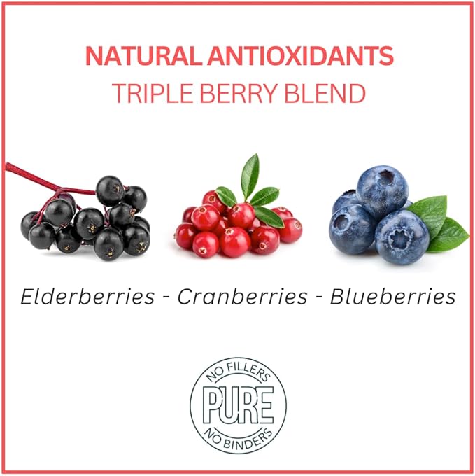Bench &amp; Field Holistic Natural Turkey &amp; Triple Berry Dog Treats | Crunchy Bone-Shaped Bites | Antioxidant Blend, 10-Ounce Bottle
