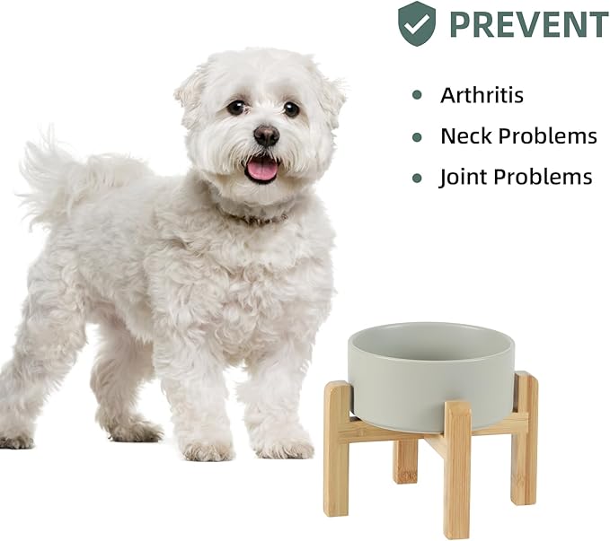 Ceramic Raised Dog and Cat Bowl Set, 2 Heights Elevated Stand, Food and Water Bowl for Small Breed Dogs, Weighted Dog Dishes, Pet Bowl(6.1&