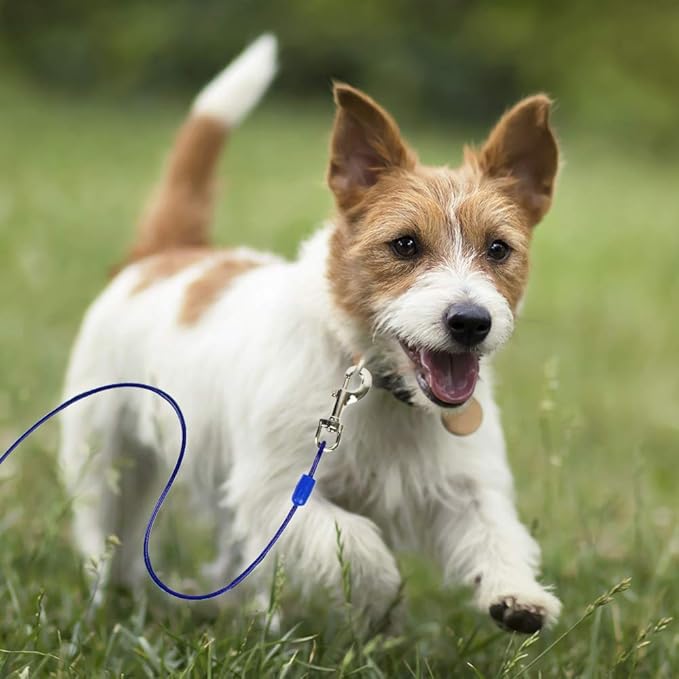 BV Dog Tie Out Cable 15 Feet - Heavy Duty Dog Lead Up to 60 Pounds - Reflective &amp; Rust-Free with Quick Release Swivel Clips &amp; 360° Rotating Clasp - Tangle-Free Dogs Runner for Yard (Blue, Single)