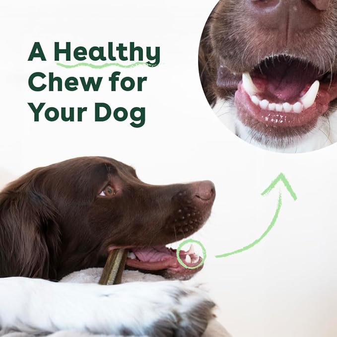 Pupford Dental Chews for Dogs, All-Natural 4-Inch Sticks for Plaque, Tartar &amp; Bad Breath, Grooved Texture, Limited Ingredients, Made in USA (14 Count)
