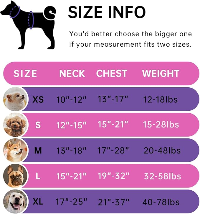 IVY&amp;LANE No Pull Dog Harness for Small Dogs, Dog Vest Harness with Leash, Safety Belt and Storage Strap, Fully Adjustable Harness, 360° Reflective Strip, Soft Handle (Fuchsia Pink,S)