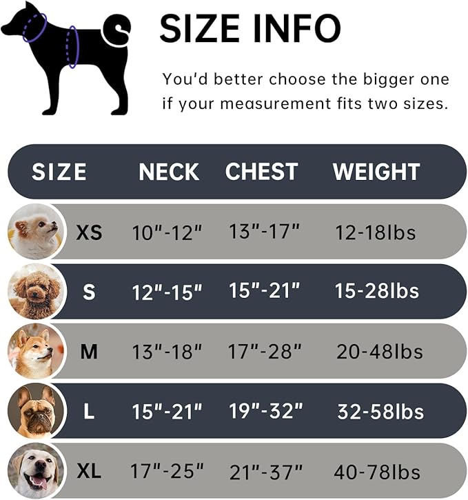 IVY&amp;LANE No Pull Dog Harness with Leash Set, Reflective No Choke Pet Vest,Adjustable Oxford Dog Vest Harness with Easy Control Handle for Small Dogs (Checkered Black,S)