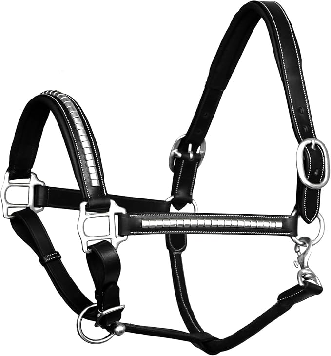 Exion Leather Horse Halter with Padding &amp; Clincher Studs – Adjustable Quick‑Release Crownpiece Halter for Horses – Vegetable‑Tanned Leather in Black &amp; Brown – Cob, Full &amp; Oversize
