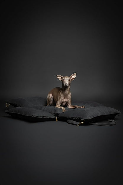 Noah &amp; Paw Dog Car Seat Carrier, Small Dog Car Seat for Small Medium Pets with Harness Clip, 4X Safety Feature, Booster Travel Bed, Waterproof Washable, Orthopedic Foam Filling, Canvas Collection