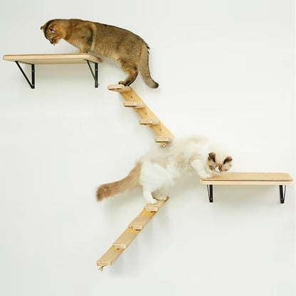 Cat Wall Furniture Set, 2PCS Cat Shelves &amp; 2PCS 4 Steps Wall Shelves Stairs Tower Climbing Scratching Perches for Climbing Sleeping, Playing