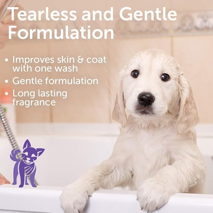 Nootie - Pet Shampoo for Sensitive Skin - Revitalizes Dry Skin &amp; Coat - Natural Ingredients - Gentle Dog Shampoo - Cleans &amp; Conditions