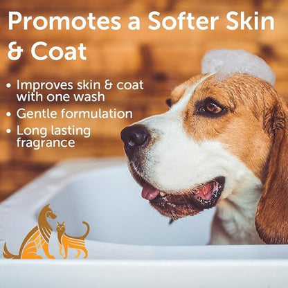 Nootie - Pet Shampoo for Sensitive Skin -�Revitalizes Dry Skin &amp; Coat - Natural Ingredients - Soap, Paraben &amp; Sulfate Free - Cleans &amp; Conditions