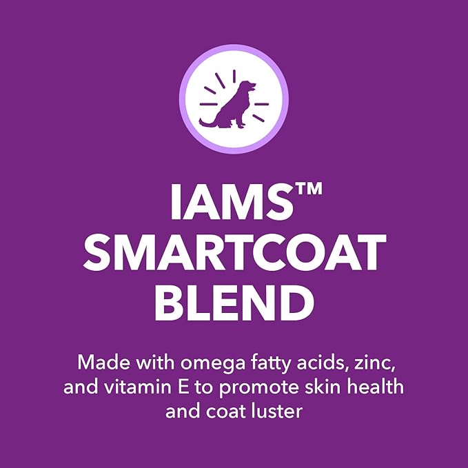 IAMS Advanced Health Skin &amp; Coat Adult Dry Dog Food Chicken and Salmon Recipe, 6 lb. Bag