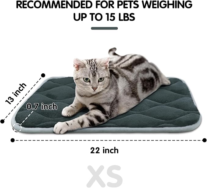 furrybaby Dog Bed Mat Flat Crate Mat with Anti-Slip Bottom Machine Washable Pet Kennel Pad for Dog Sleeping (XS 22x13&