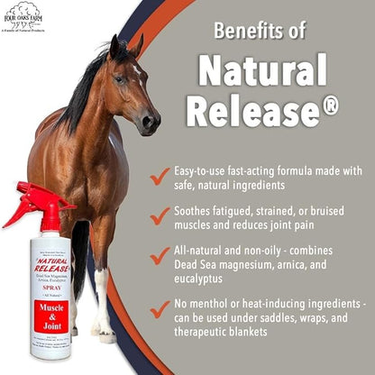 Natural Release Muscle Spray Treatment - Horse Liniment for Sore Muscles, Joint Pain, Tendon &amp; Inflammation Relief - Easy to Use, Fast Acting, Alcohol &amp; Menthol Free (16 oz)