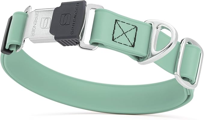 Dogline Biothane Waterproof Dog Collar with Herm Sprenger Stainless Steel Quick Release Buckle – Heavy Duty Tactical Durable Collar for Dogs – Comfortable and Safe Pet Collar W 3/4" L12-19 Sage Green
