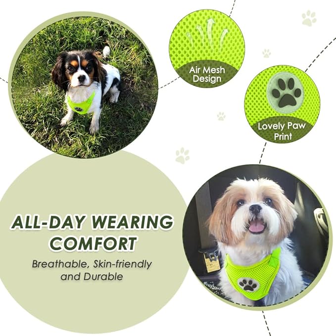SlowTon Dog Seat Belt Harness for Car, Dog Car Harness Adjustable Mesh Breathable &amp; Dog Seatbelt Safety Tether with Elastic Bungee for Small Medium Large Pets(Lime, Double Clip, XS)