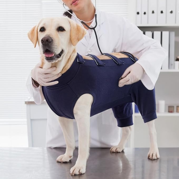 IECOii Pet Surgery Recovery Suit,Breathable Dog Bodysuit E-Collar &amp; Cone Alternative Surgical Suit After Spayed/Neutered Wear,Recovery Suit for Dogs Male Female Sleeve to Prevent Licking,XL-Blue